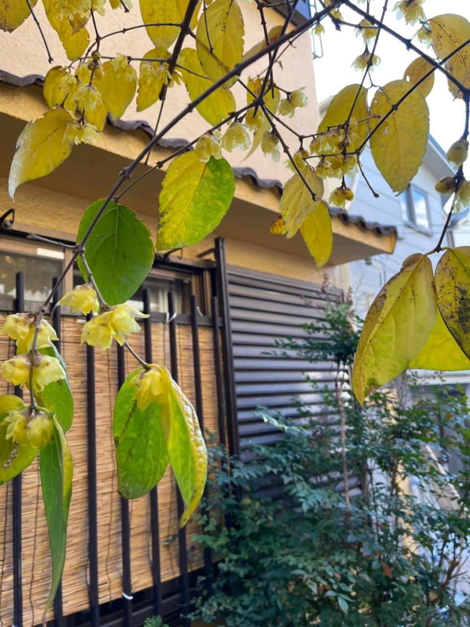 Annam Stay Osaka - Whole Three Story House Rental Dış mekan fotoğraf